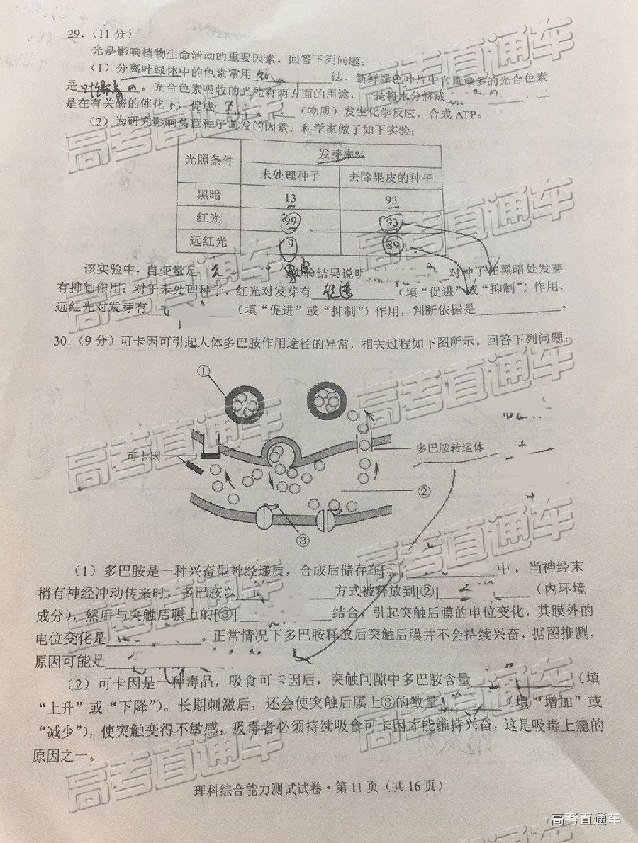 2019ʡͳ⼰ο