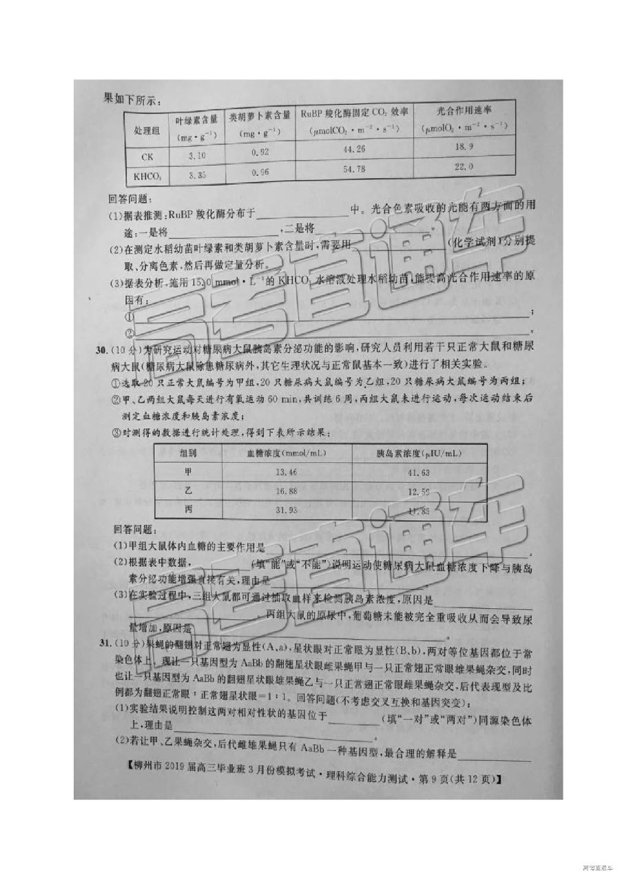 2019ݸбҵ3ģ⿼⼰ο