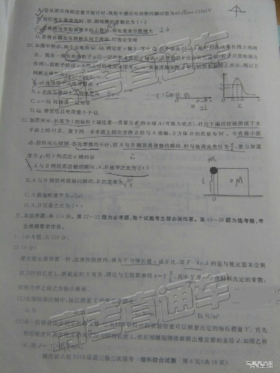 2019Уڶ⼰ο