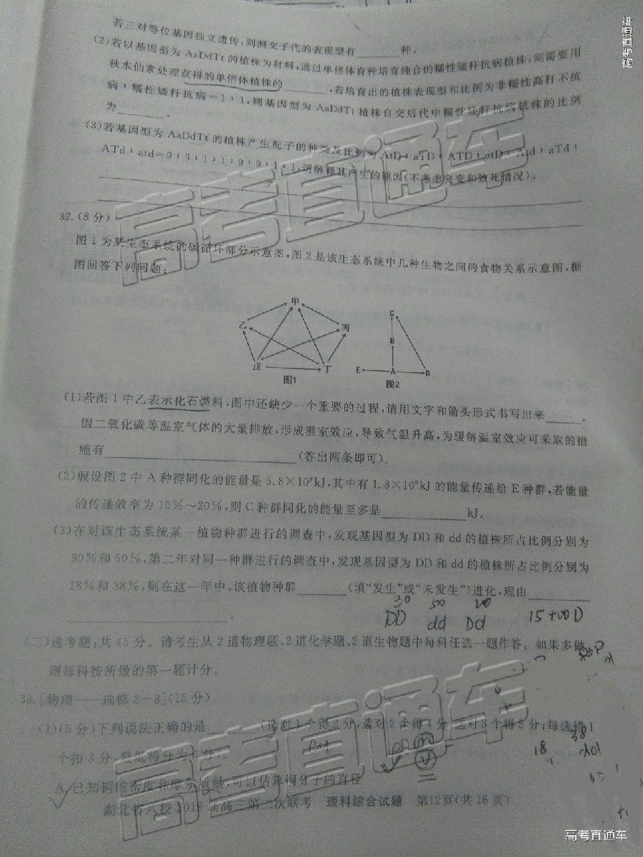 2019Уڶ⼰ο