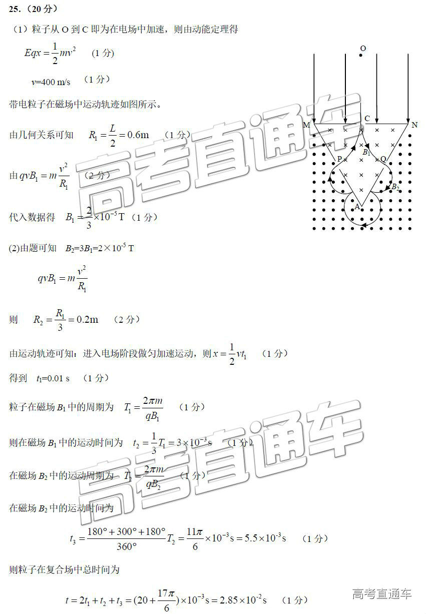 2019֣ݶ⼰ο