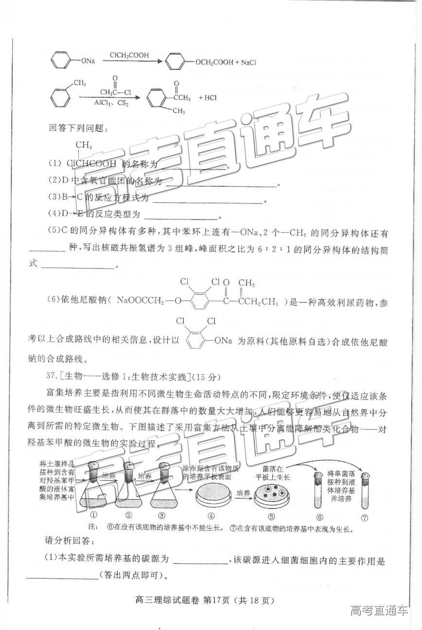 2019֣ݶ⼰ο