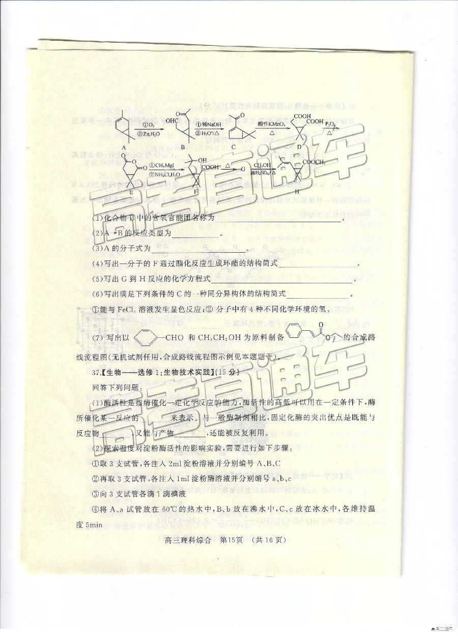 2019⼰ο