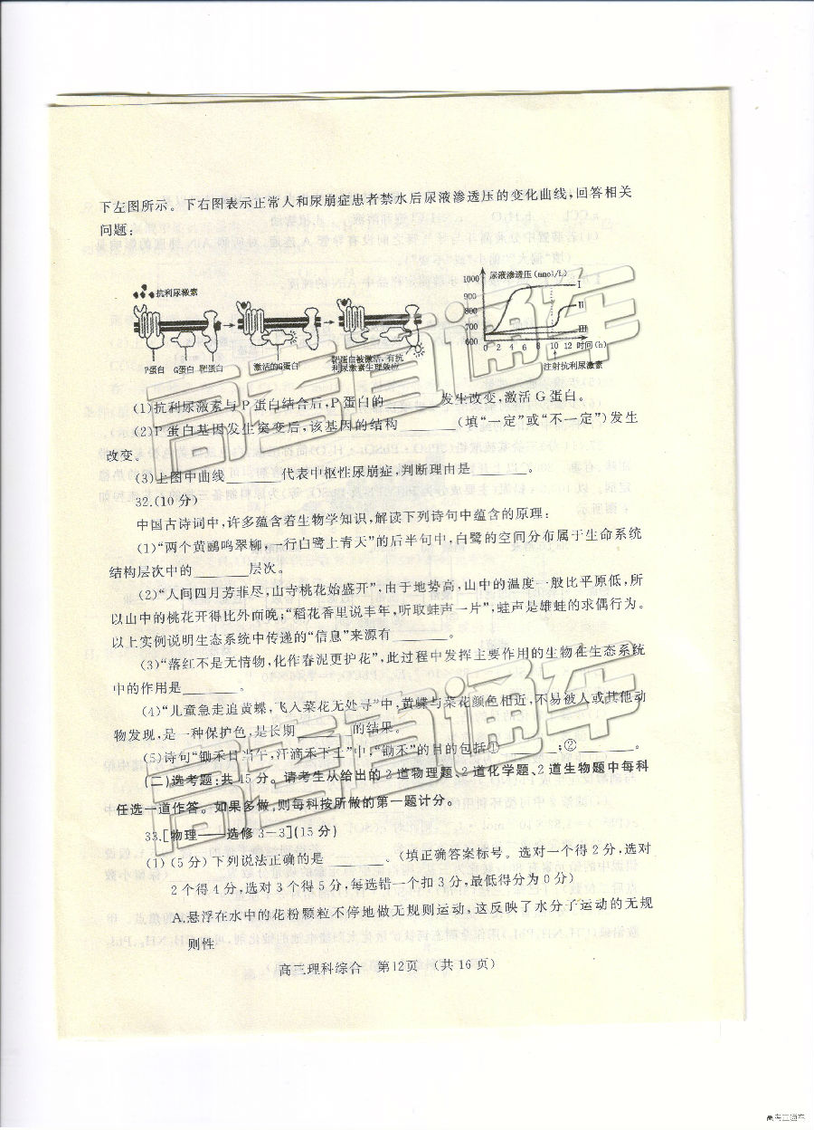 2019⼰ο
