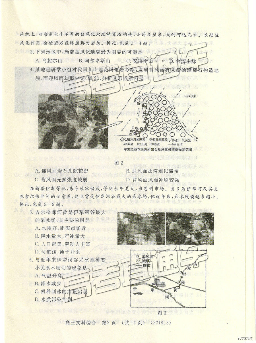 2019⼰ο