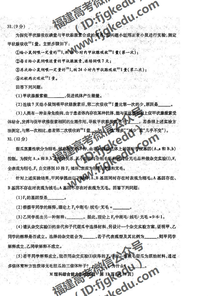 2019긣ʡʼ(3)ۺ⼰ο