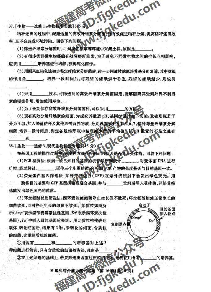 2019긣ʡʼ(3)ۺ⼰ο