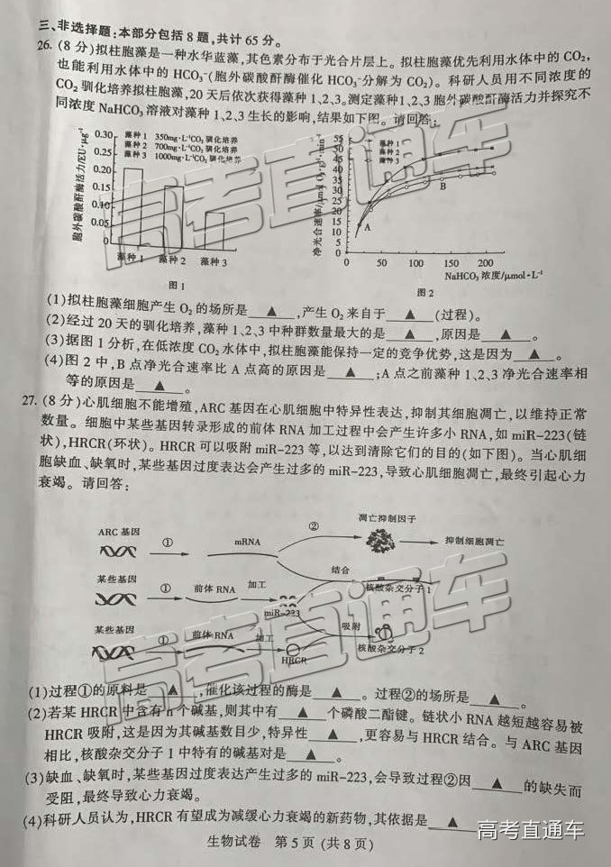 2019̩컴жģ⼰ο