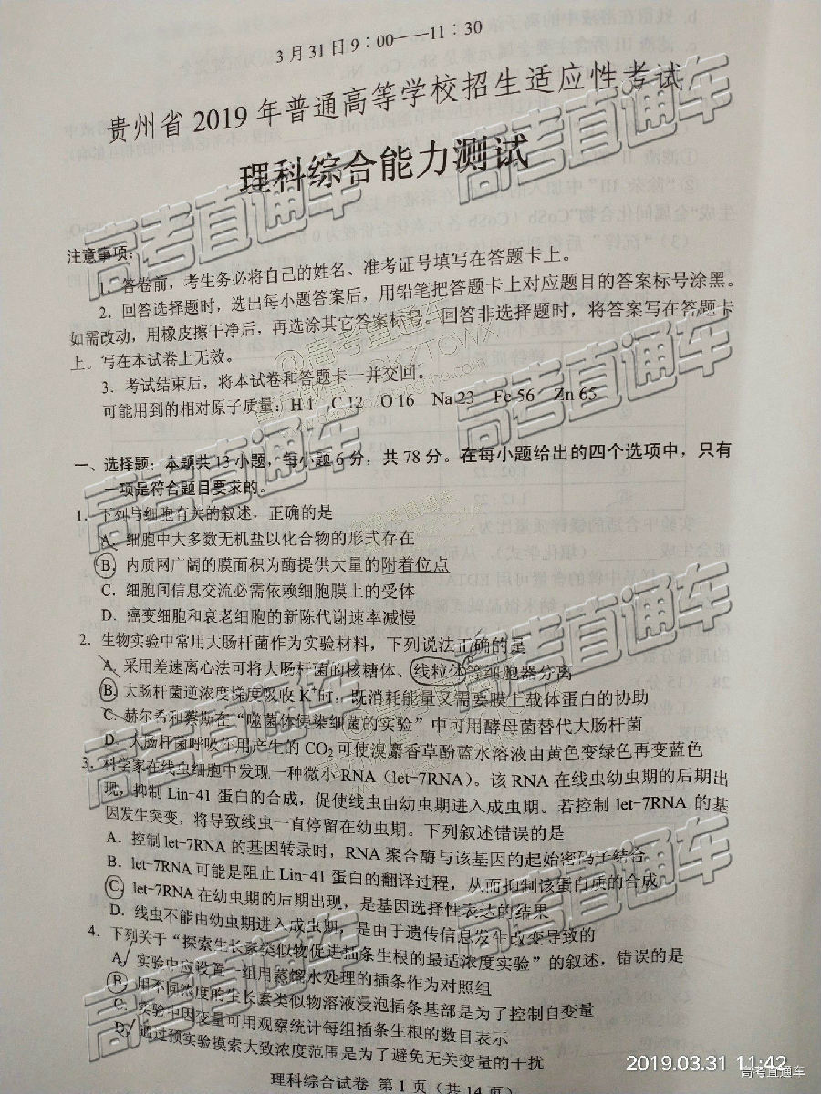 2019ʡͳ⼰ο