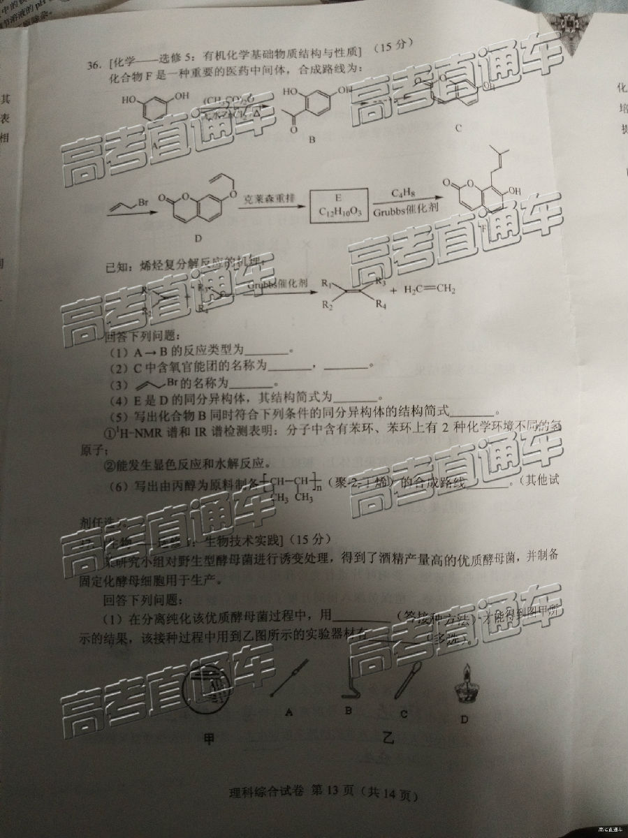 2019ʡͳ⼰ο