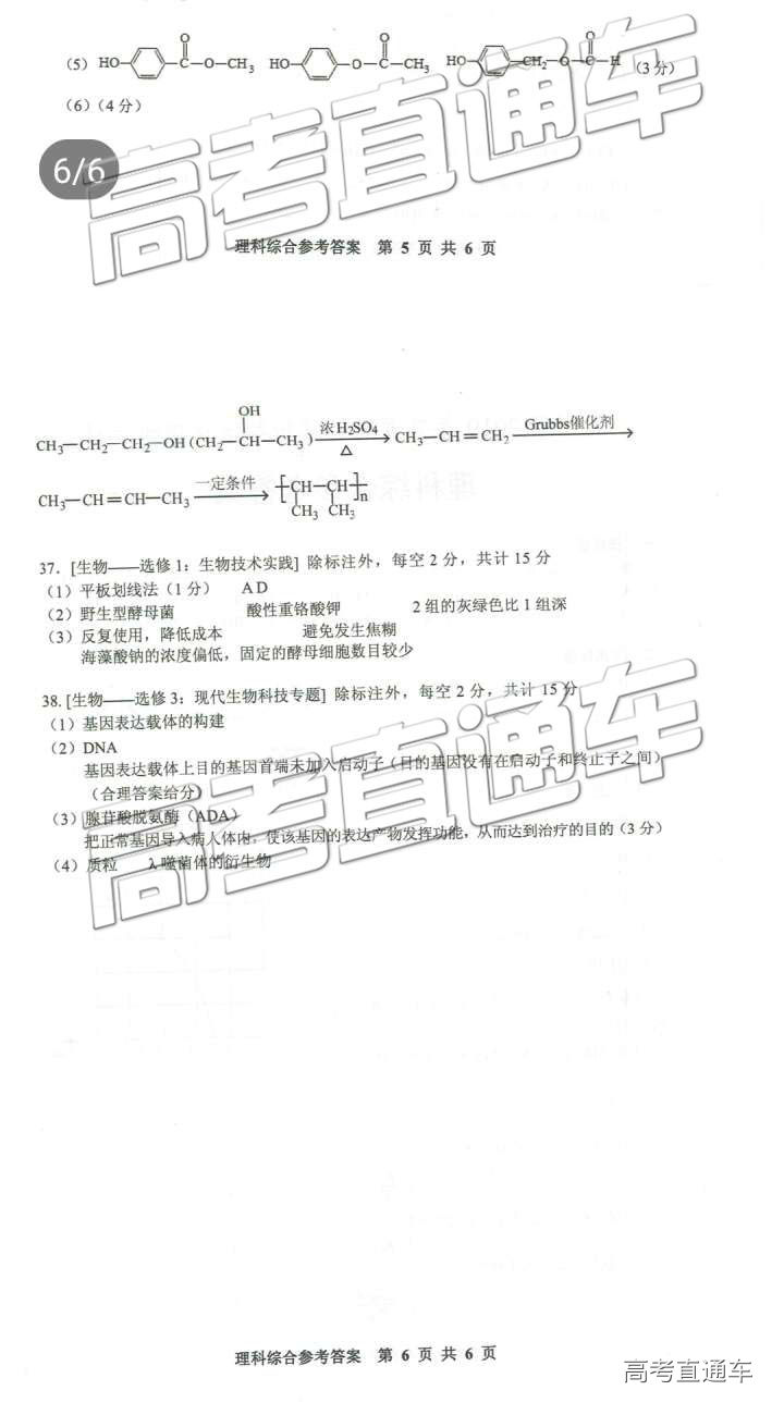 2019ʡͳ⼰ο