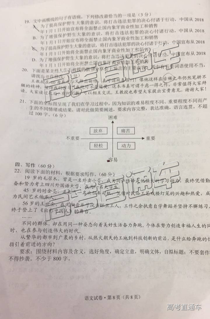 2019ͳ⼰ο