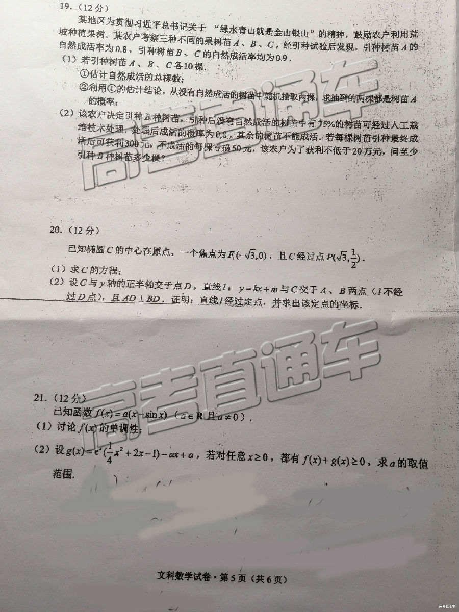 2019ͳ⼰ο