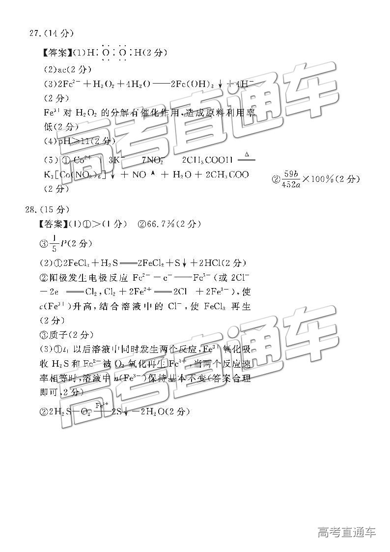 2019ŵ-ˮʼ⼰ο