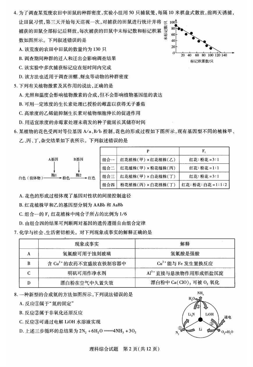 2019һ壩⼰ο