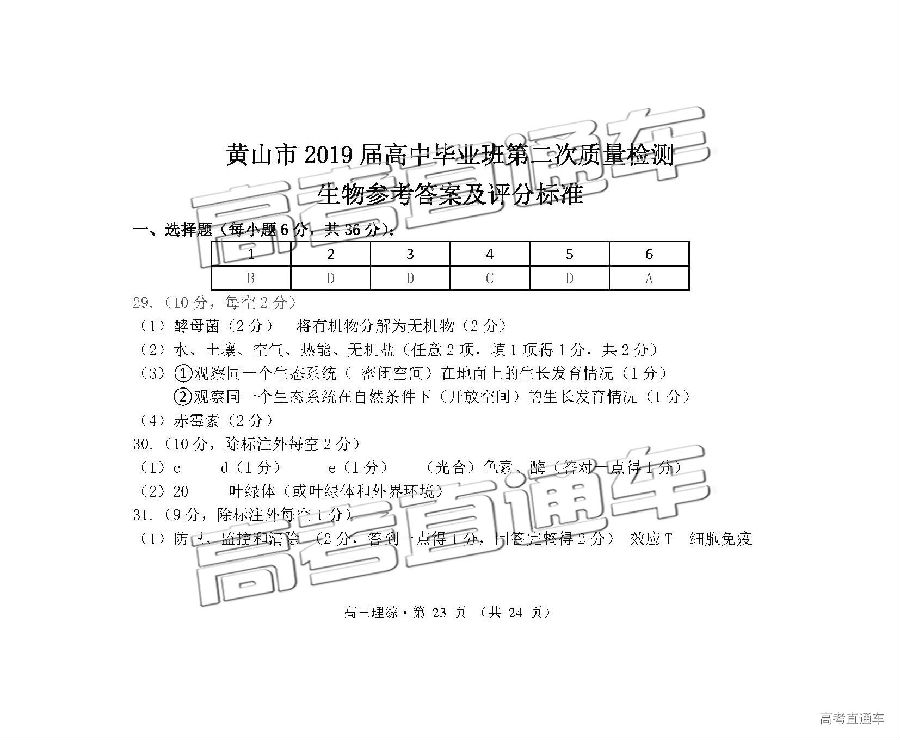 2019ɽģ⼰ο