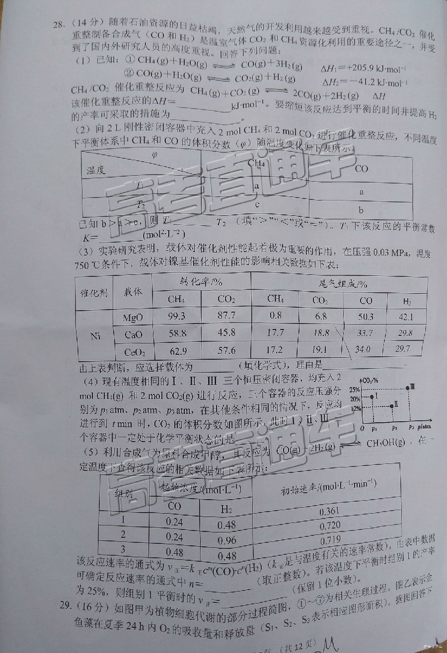 2019ϳ⼰ο