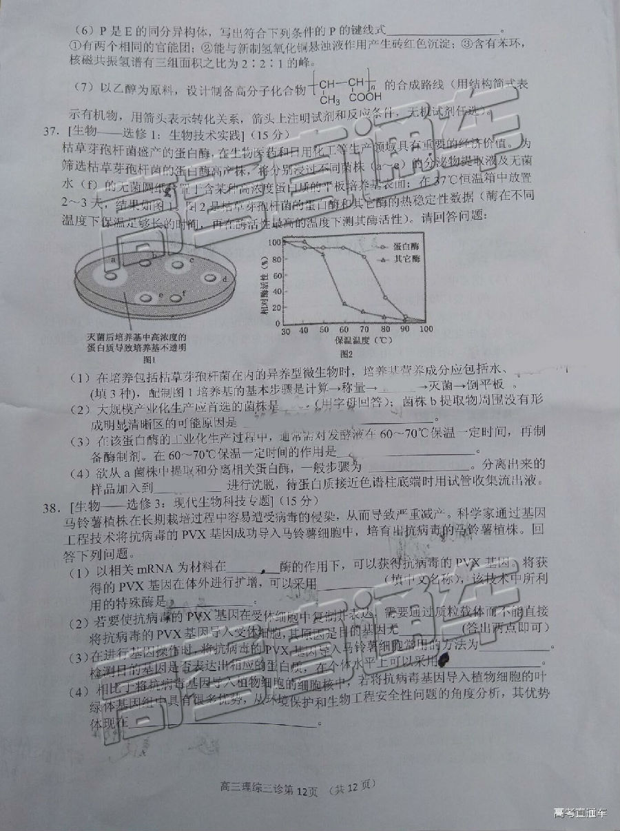 2019ϳ⼰ο
