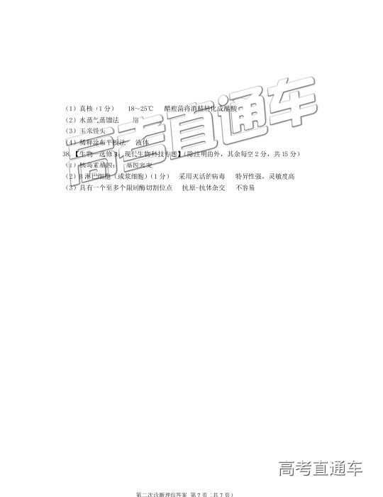 2019⼰ο