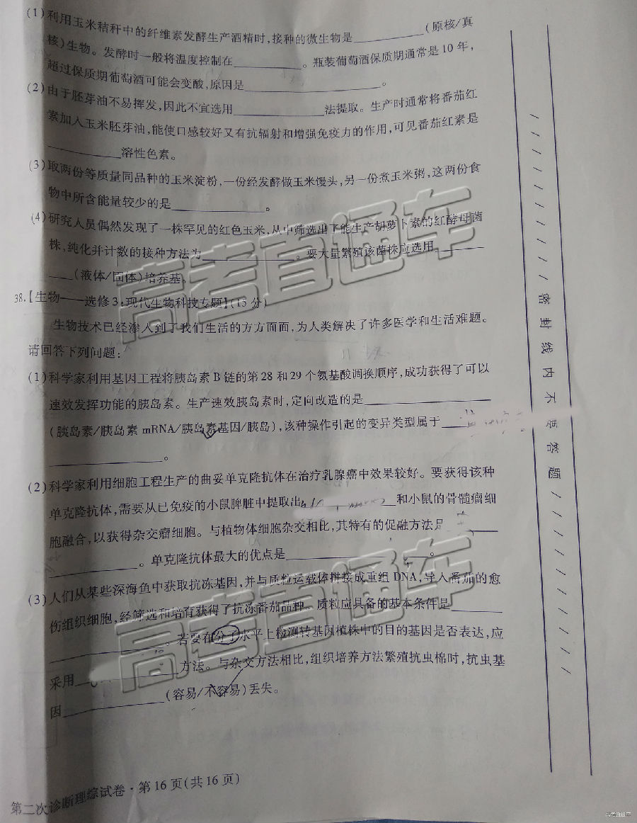 2019⼰ο
