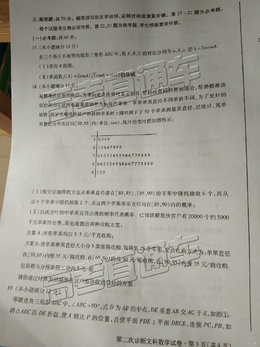 2019⼰ο