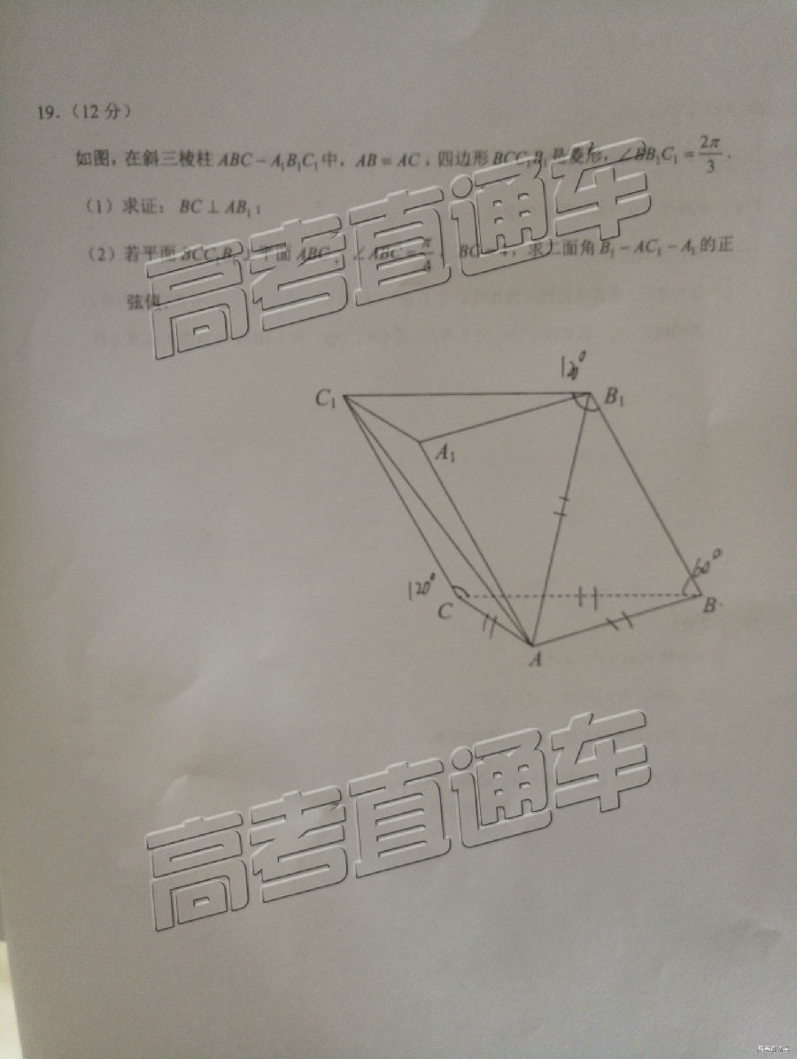 2019ʡͳ⼰ο