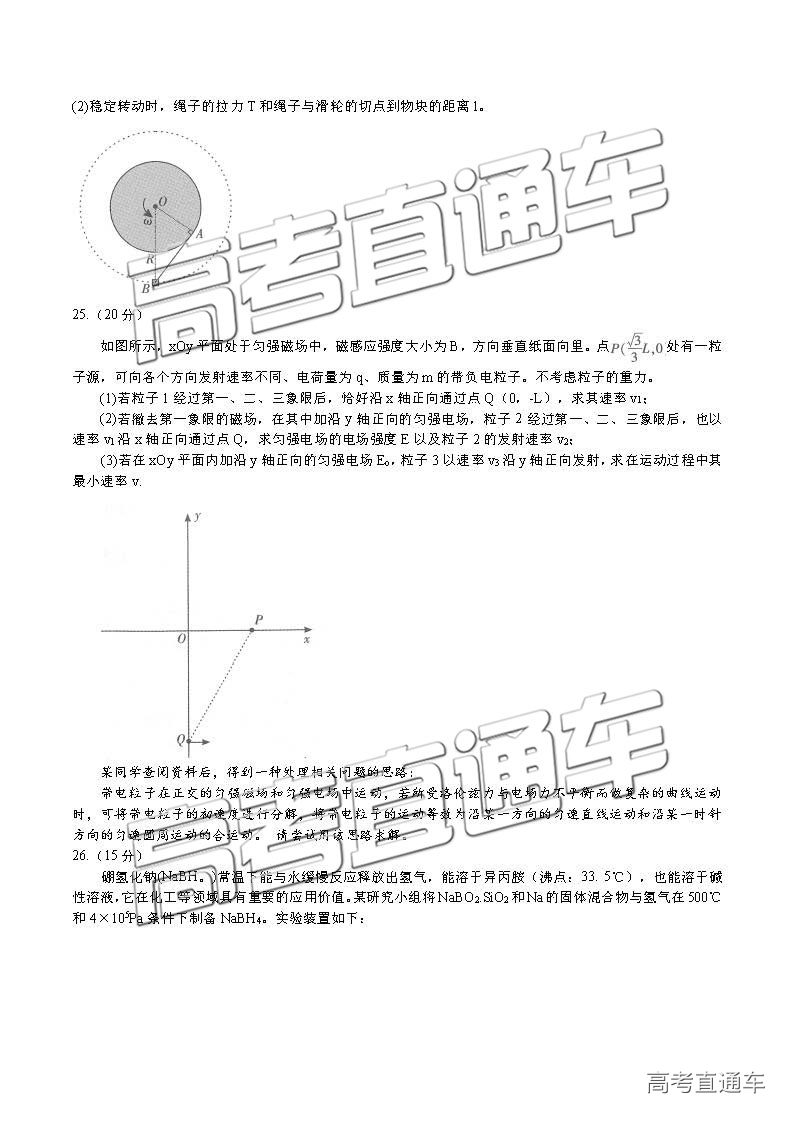 2019人µ⼰ο