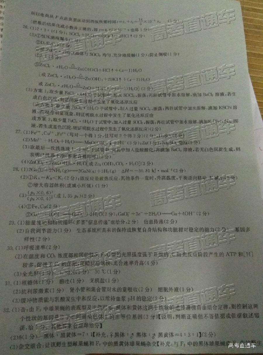 2019㶫̫4°У⼰ο