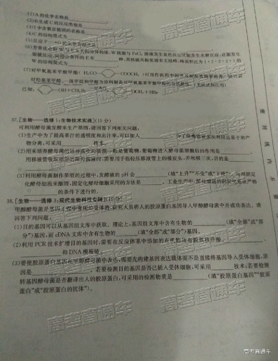 2019㶫̫4°У⼰ο