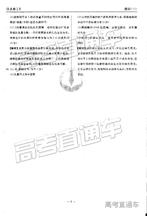 2019ˮϢ⼰ο
