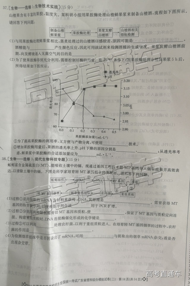 2019㶫ģ⼰ο