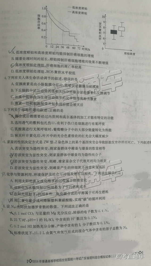 2019㶫ģ⼰ο