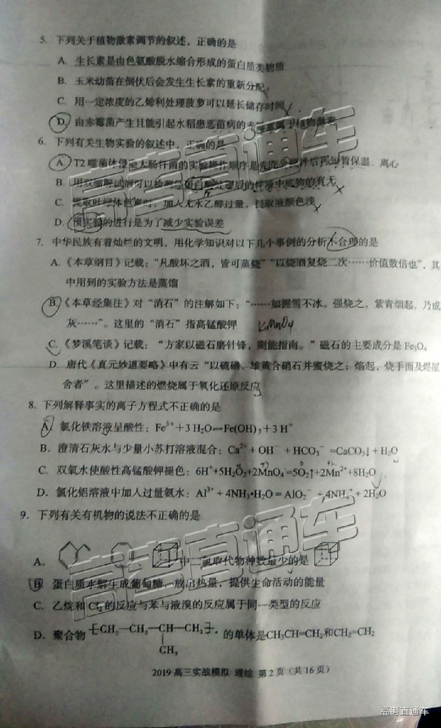 2019ݶ⼰ο