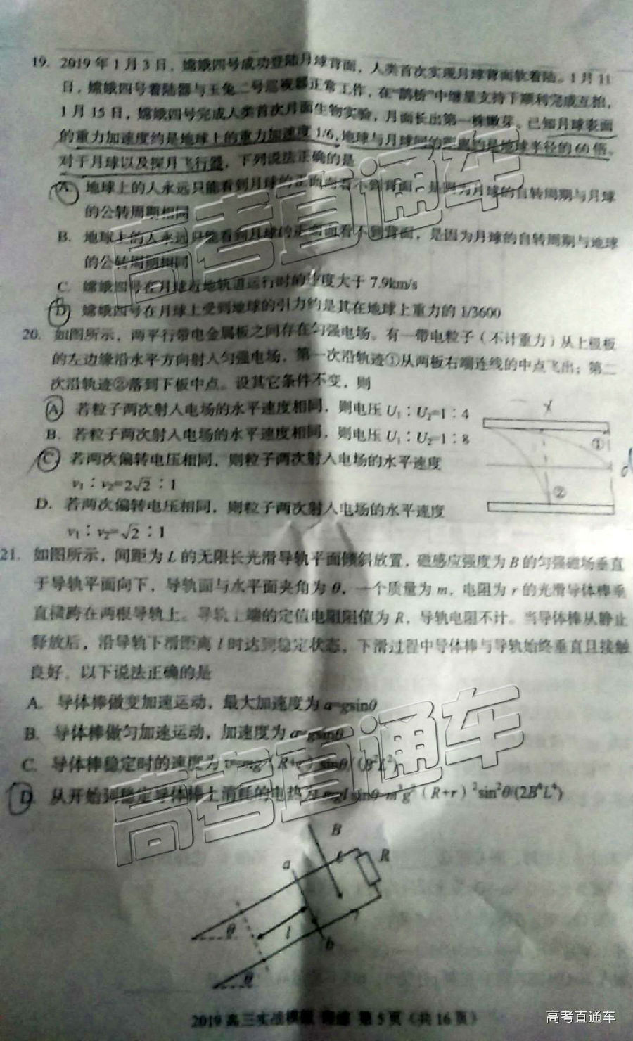 2019ݶ⼰ο