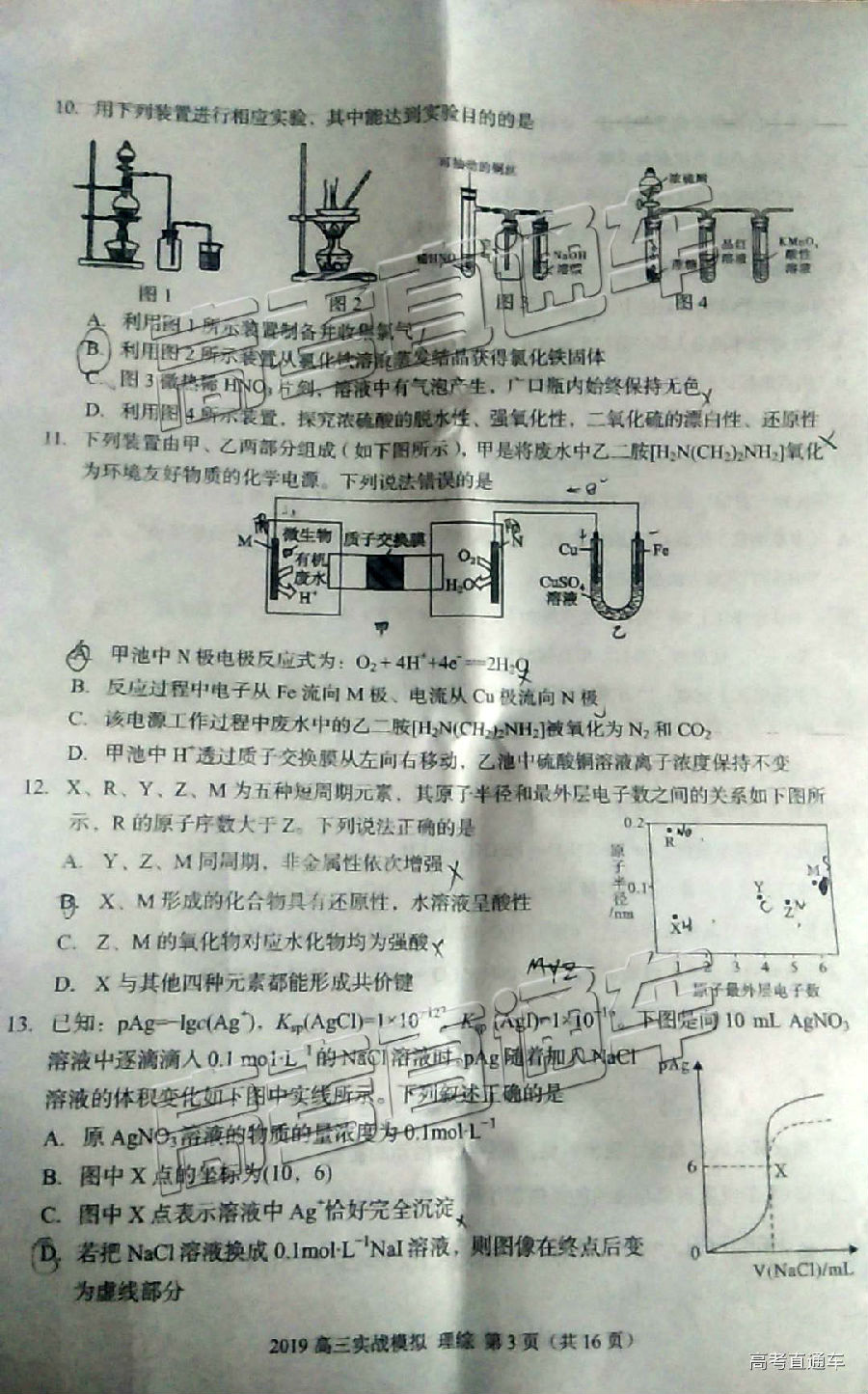 2019ݶ⼰ο
