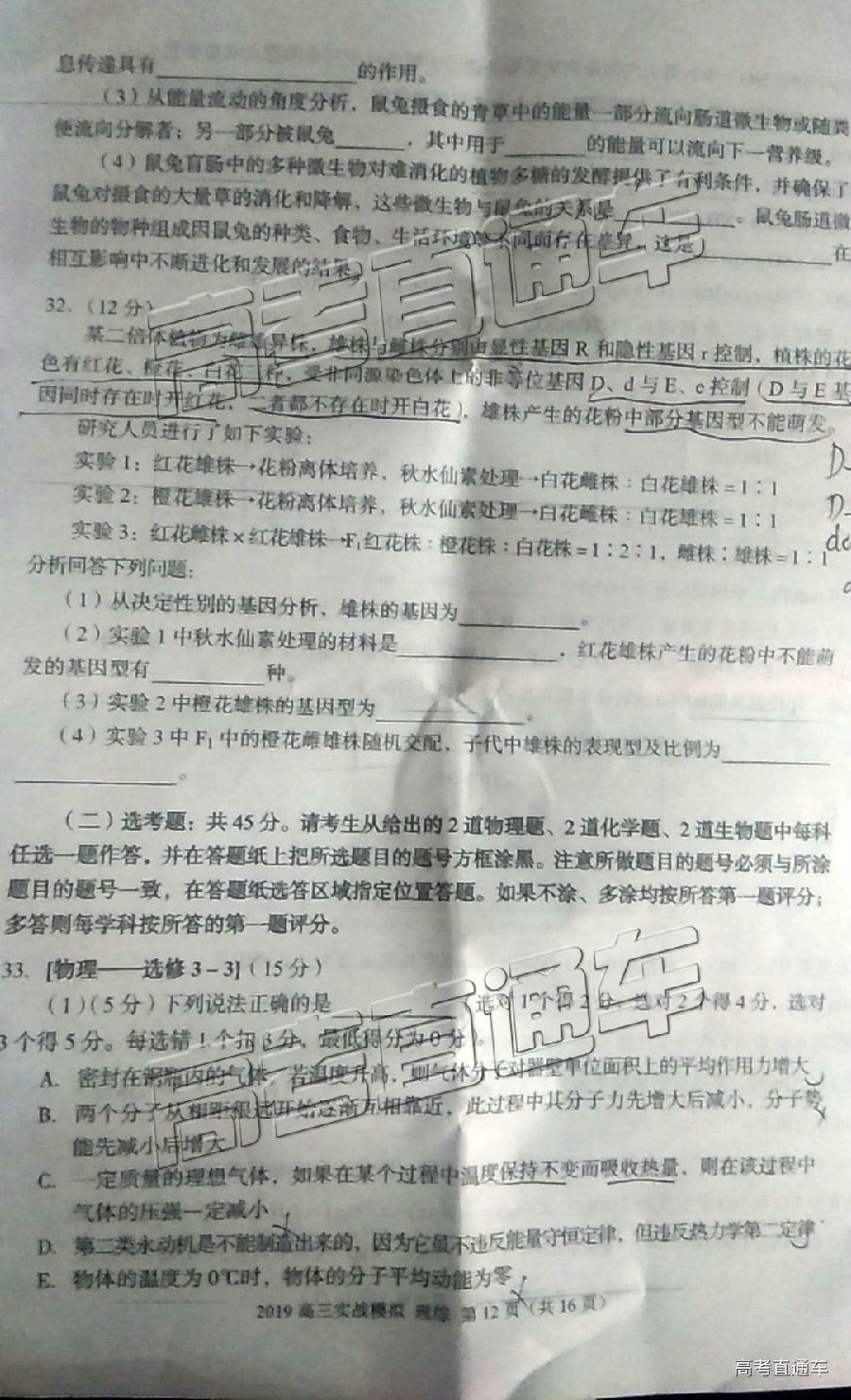 2019ݶ⼰ο