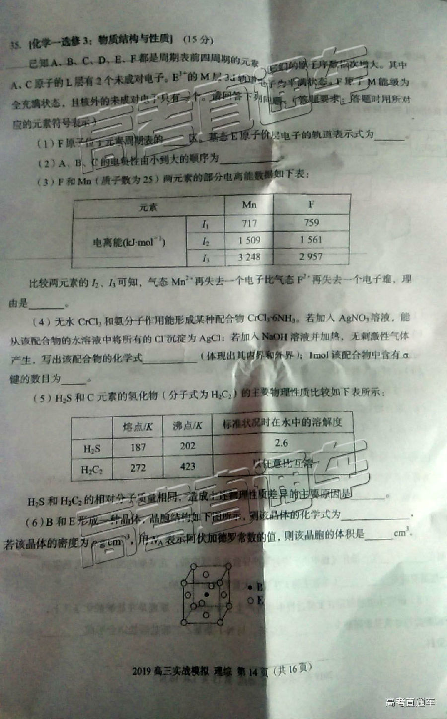 2019ݶ⼰ο