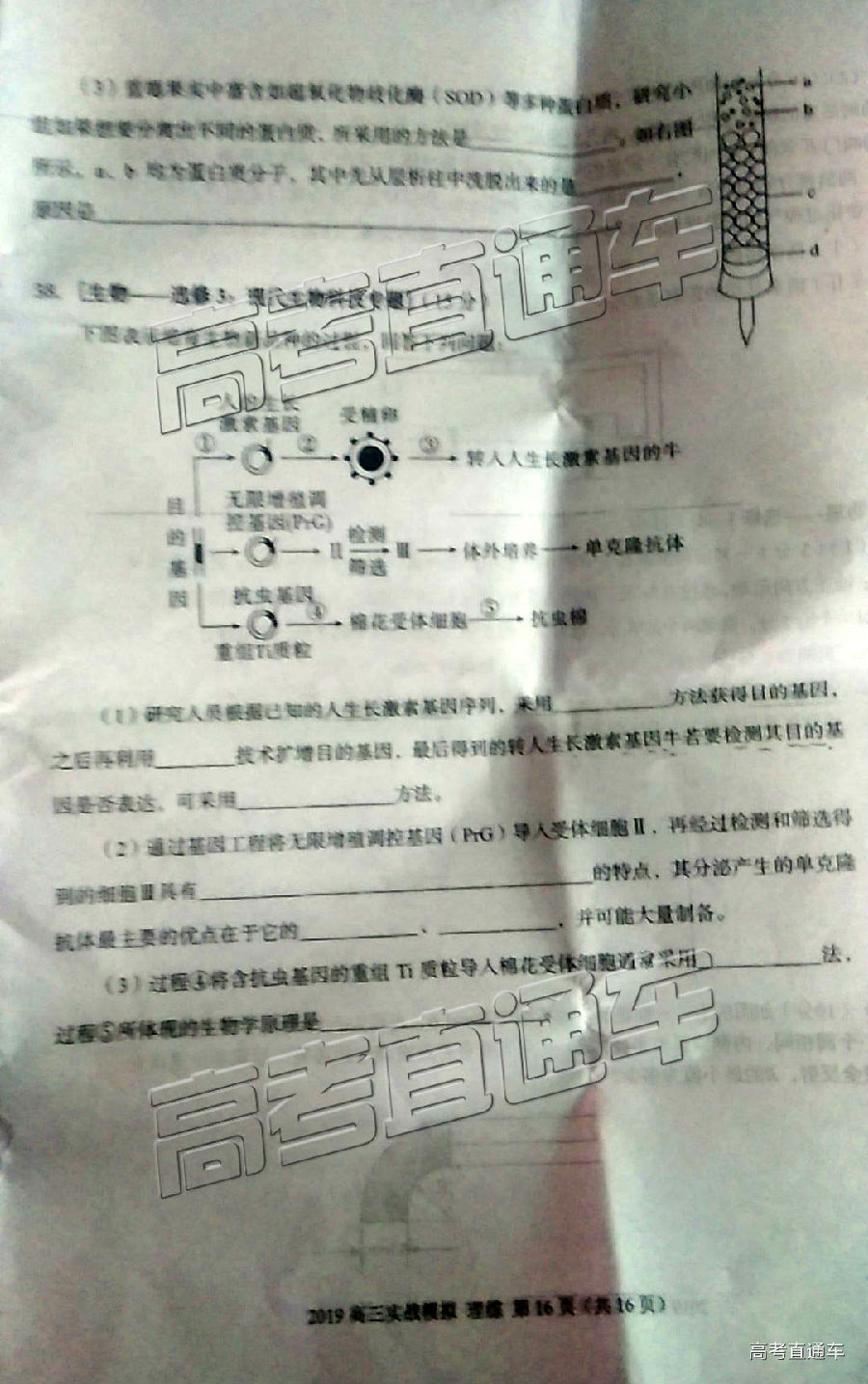 2019ݶ⼰ο