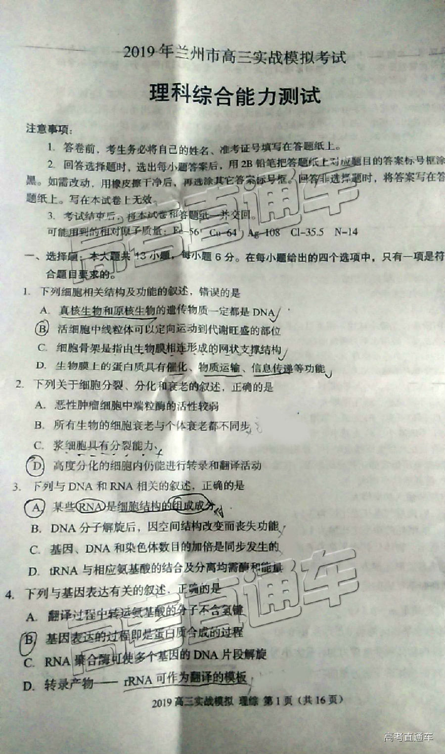2019ݶ⼰ο