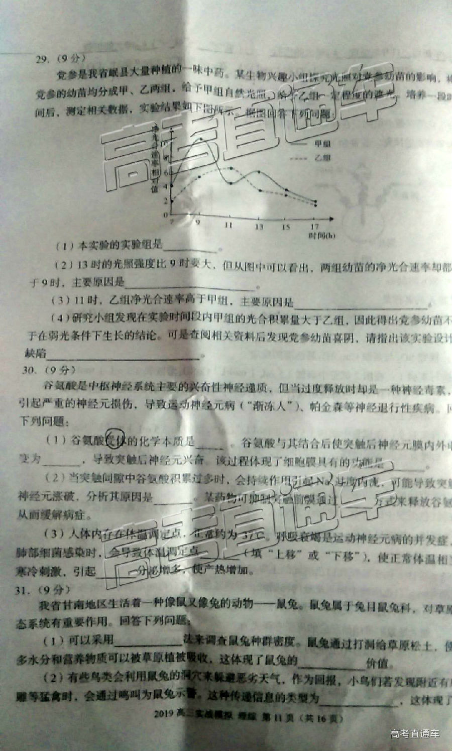 2019ݶ⼰ο