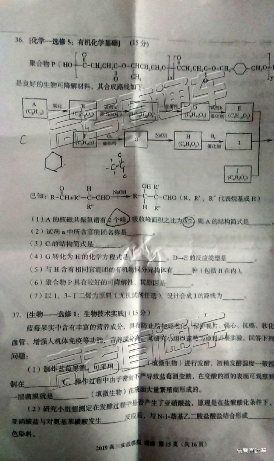 2019ݶ⼰ο