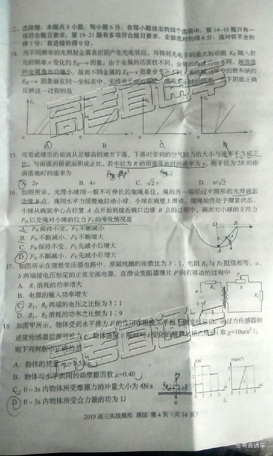 2019ݶ⼰ο