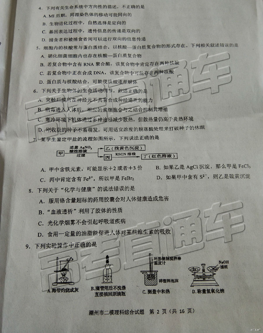 2019ݶģ⼰ο
