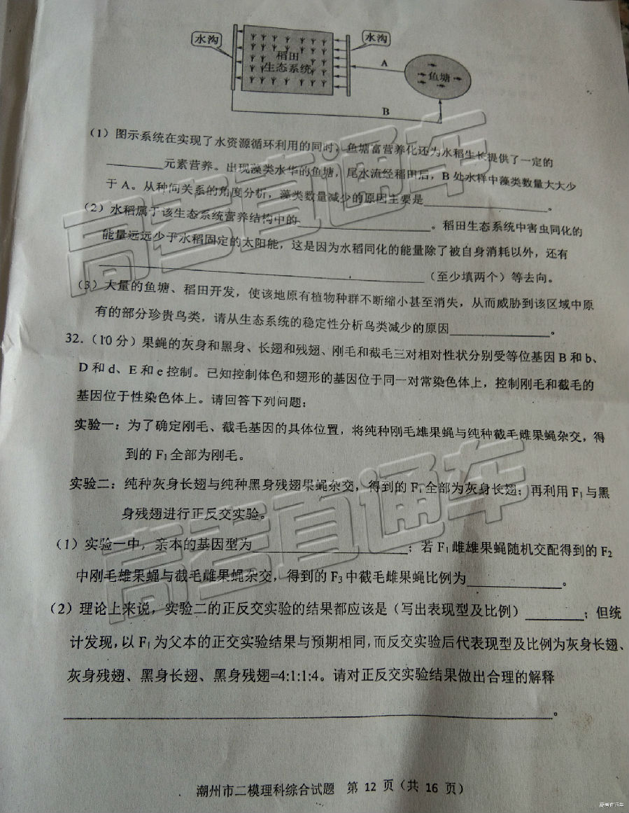 2019ݶģ⼰ο