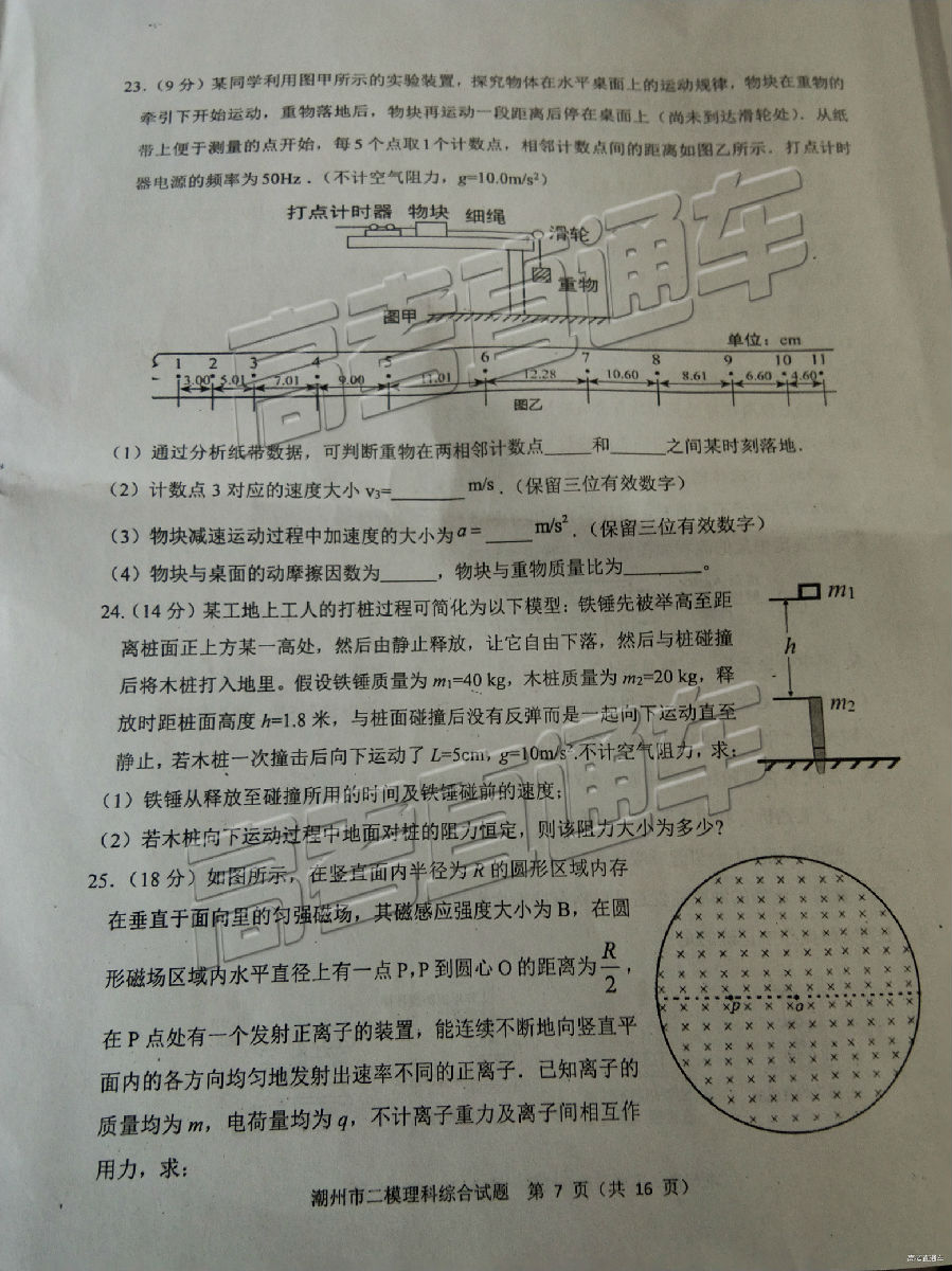 2019ݶģ⼰ο