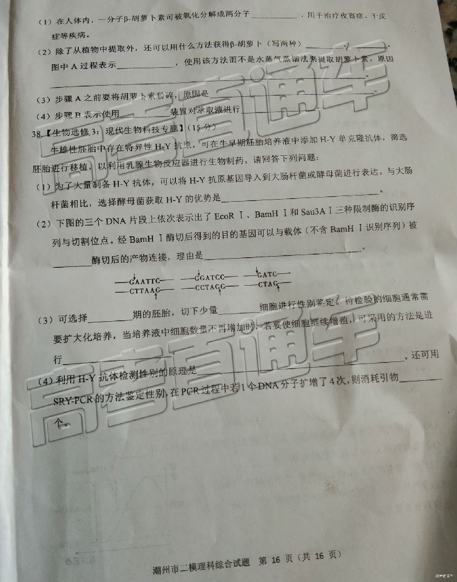 2019ݶģ⼰ο