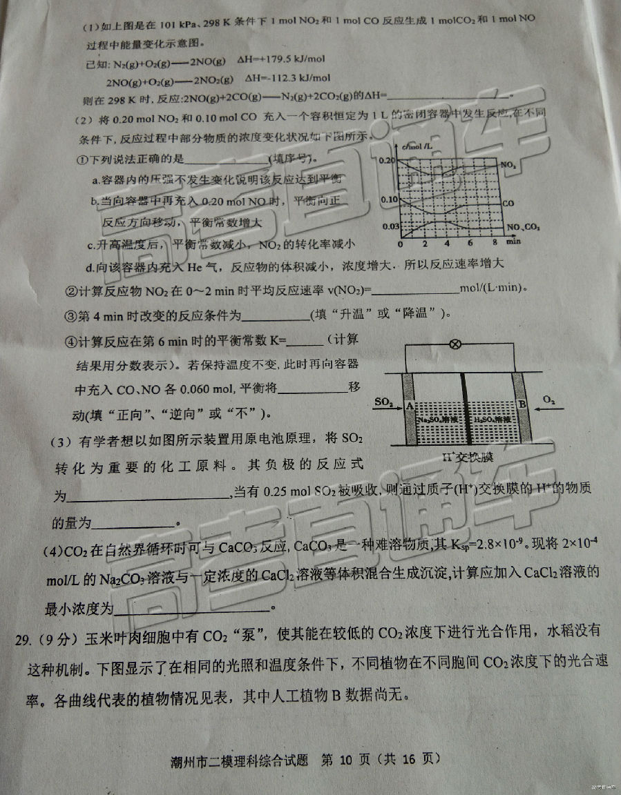 2019ݶģ⼰ο