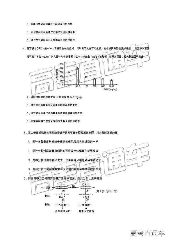 2019⼰ο