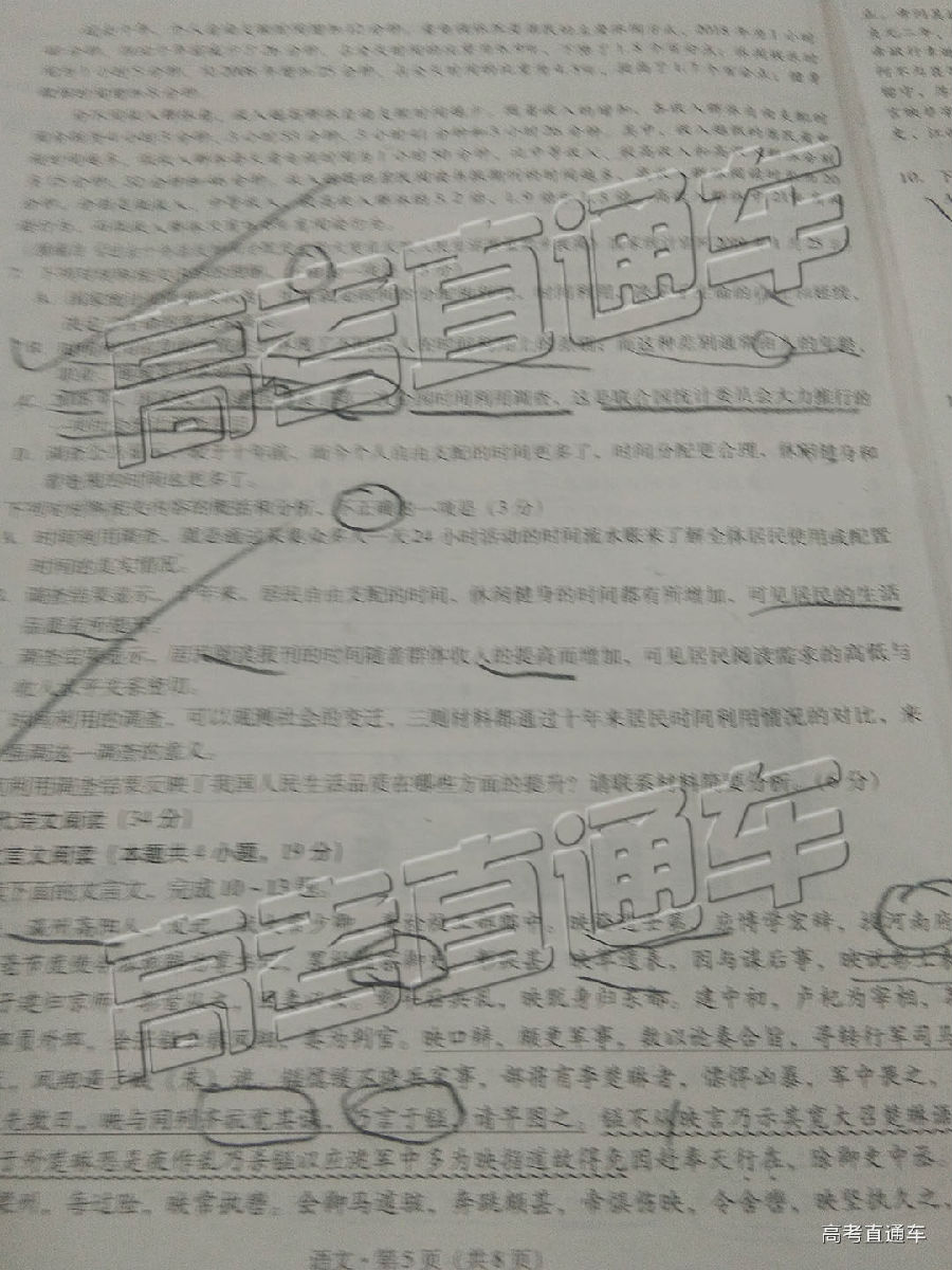 2019һеߴ¿⼰ο