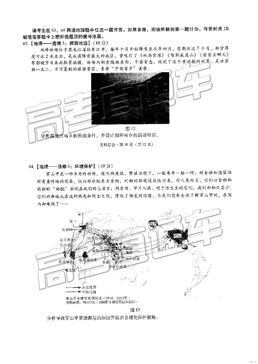 2019һеߴ¿⼰ο
